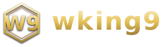 wking9 logo